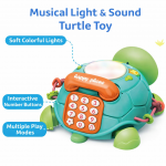 Musical Light & Sound Turtle Toy for Babies 6–18 Months | Interactive Early Learning Activity Toy for Infants & Toddlers | Gift for Boys & Girls - Image 2